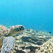 ヒメ日記 2025/09/25 16:25 投稿 ゆき アクトレス池袋店(ユメオト)