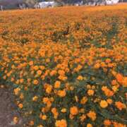 ヒメ日記 2025/10/22 12:52 投稿 しき 秋葉原 添い寝女子