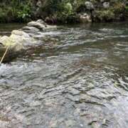 ヒメ日記 2025/09/16 12:26 投稿 さゆ 錦糸町人妻セレブリティ（ユメオト）