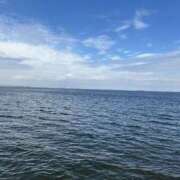 ヒメ日記 2025/09/22 23:35 投稿 さゆ 錦糸町人妻セレブリティ（ユメオト）