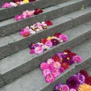 ヒメ日記 2025/10/27 11:59 投稿 さゆ 錦糸町人妻セレブリティ（ユメオト）