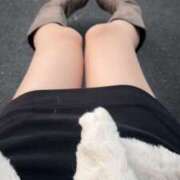 ヒメ日記 2025/11/20 16:29 投稿 さゆ 錦糸町人妻セレブリティ（ユメオト）