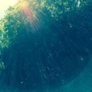 ヒメ日記 2026/02/26 07:56 投稿 さゆ 錦糸町人妻セレブリティ（ユメオト）