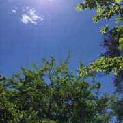 さゆ お礼💌 錦糸町人妻セレブリティ（ユメオト）