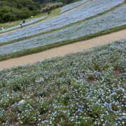 ヒメ日記 2026/04/26 09:46 投稿 さゆ 錦糸町人妻セレブリティ（ユメオト）