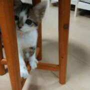 ヒメ日記 2025/08/12 12:47 投稿 みるく 妻天 梅田店