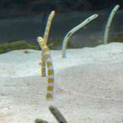 ヒメ日記 2025/08/22 11:47 投稿 みるく 妻天 梅田店