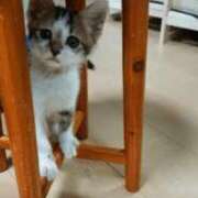 ヒメ日記 2025/08/30 17:17 投稿 みるく 妻天 梅田店