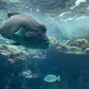 ヒメ日記 2025/09/05 08:37 投稿 みるく 妻天 梅田店