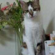 ヒメ日記 2025/09/18 13:57 投稿 みるく 妻天 梅田店