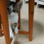 ヒメ日記 2025/11/16 20:47 投稿 みるく 妻天 梅田店