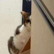 ヒメ日記 2025/12/02 02:27 投稿 みるく 妻天 梅田店