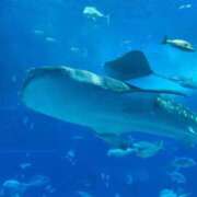 ヒメ日記 2025/12/15 17:57 投稿 みるく 妻天 梅田店