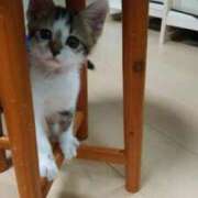 ヒメ日記 2025/12/16 11:17 投稿 みるく 妻天 梅田店