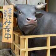 ヒメ日記 2026/01/18 00:20 投稿 みるく 妻天 梅田店