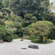 ヒメ日記 2025/10/25 11:26 投稿 さら 横浜ひよこ倶楽部