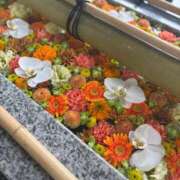 ヒメ日記 2025/10/26 10:26 投稿 さら 横浜ひよこ倶楽部