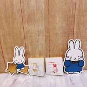 ヒメ日記 2025/10/29 11:30 投稿 さら 横浜ひよこ倶楽部