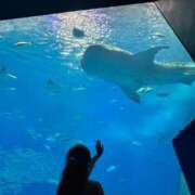 ヒメ日記 2025/11/14 19:26 投稿 さら 横浜ひよこ倶楽部