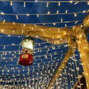 ヒメ日記 2025/12/10 11:06 投稿 さら 横浜ひよこ倶楽部