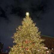 ヒメ日記 2025/12/15 10:16 投稿 さら 横浜ひよこ倶楽部