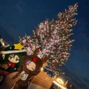 ヒメ日記 2025/12/24 11:06 投稿 さら 横浜ひよこ倶楽部