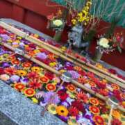 ヒメ日記 2026/01/03 20:36 投稿 さら 横浜ひよこ倶楽部