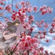 ヒメ日記 2026/03/29 12:26 投稿 さら 横浜ひよこ倶楽部