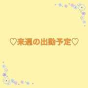 ヒメ日記 2026/08/14 18:14 投稿 さら 横浜ひよこ倶楽部
