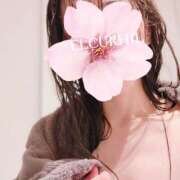 ヒメ日記 2025/09/09 00:06 投稿 染井　よしの 川崎南町人妻高級ソープ エル・カーヒル(ELCURHIL)秘密の刻