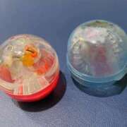 ヒメ日記 2025/10/23 19:05 投稿 ひな ビデオDEはんど 名古屋校