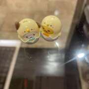 ヒメ日記 2025/09/29 10:12 投稿 のどか 川越ぽちゃまに