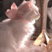 ヒメ日記 2025/11/27 08:23 投稿 あまね BLUE BIRD (ブルーバード) 上越