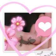 ヒメ日記 2025/08/17 18:48 投稿 木場ちさと 月の真珠-新宿-