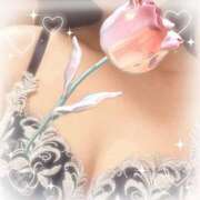 ヒメ日記 2025/08/19 13:08 投稿 木場ちさと 月の真珠-新宿-