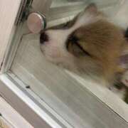 ヒメ日記 2025/11/20 22:27 投稿 まお ソープランド メイド館 ラ・メイド