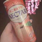 ヒメ日記 2025/09/19 18:40 投稿 なこ 多恋人 新宿店