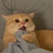 ヒメ日記 2025/08/14 00:12 投稿 稚内もえ THE痴漢電車.com