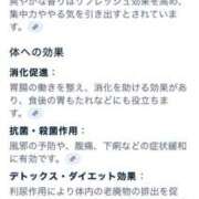 ヒメ日記 2025/08/21 20:06 投稿 ねね純沖縄美人 俺のジュニア