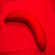 ヒメ日記 2025/08/22 18:27 投稿 ねね純沖縄美人 俺のジュニア