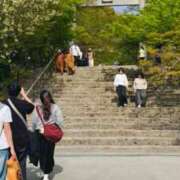 ヒメ日記 2026/04/11 16:58 投稿 ねね純沖縄美人 俺のジュニア