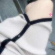 ヒメ日記 2025/10/02 09:42 投稿 さくら 白いぽっちゃりさん