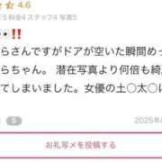 ヒメ日記 2025/12/23 14:42 投稿 さくら 白いぽっちゃりさん