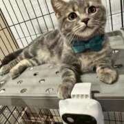 ヒメ日記 2025/08/17 12:07 投稿 宮野さつき 皇帝別館（こうていべっかん）