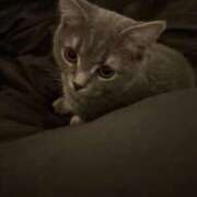 ヒメ日記 2025/08/26 19:30 投稿 宮野さつき 皇帝別館（こうていべっかん）