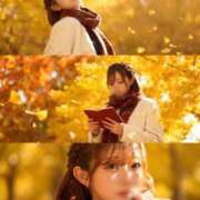 宮野さつき 😌 皇帝別館（こうていべっかん）