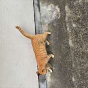 ヒメ日記 2025/09/12 12:32 投稿 つき【梅田堂山女学院】 梅田堂山女学院