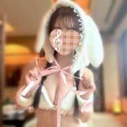 もあ 今日からです🪽✨ アラカルト