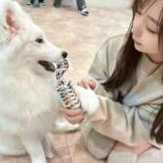 もあ 今日もやさしい気持ちで🪽 アラカルト