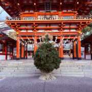 ヒメ日記 2025/12/30 17:33 投稿 里山いと おもてなし妻